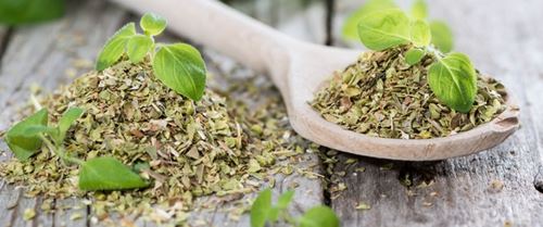 افضل 5 اعشاب طبيعية لدعم الصحة العامة للإنسان