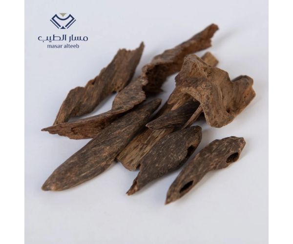 مسار الطيب للعود