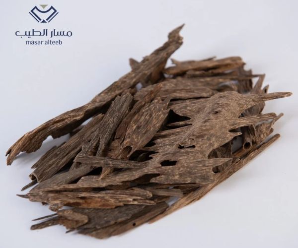 مسار الطيب للعود