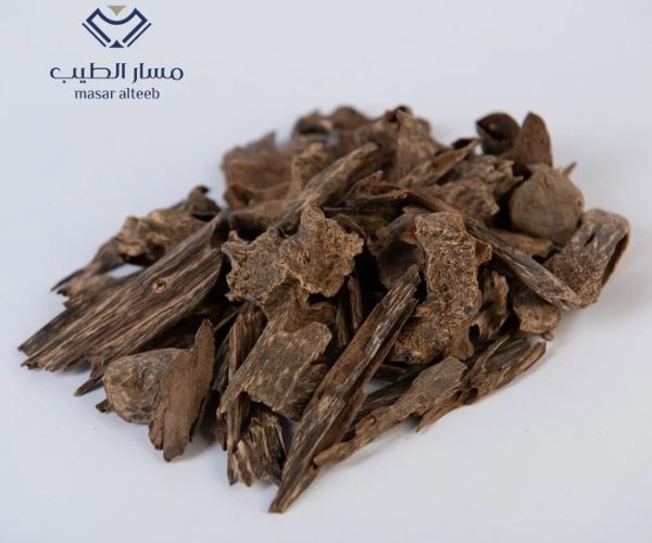 مسار الطيب للعود