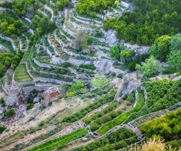 شركة صلالة سفاري